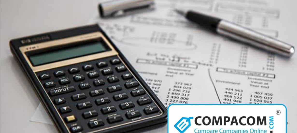 Payday Loan Calculator 