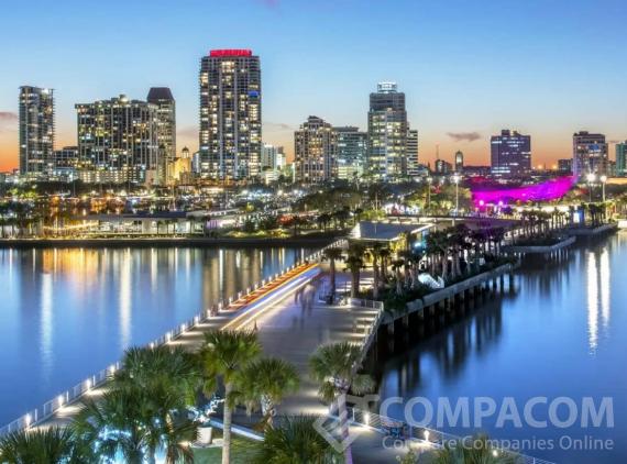 Payday Loans Online in St. Petersburg, FL